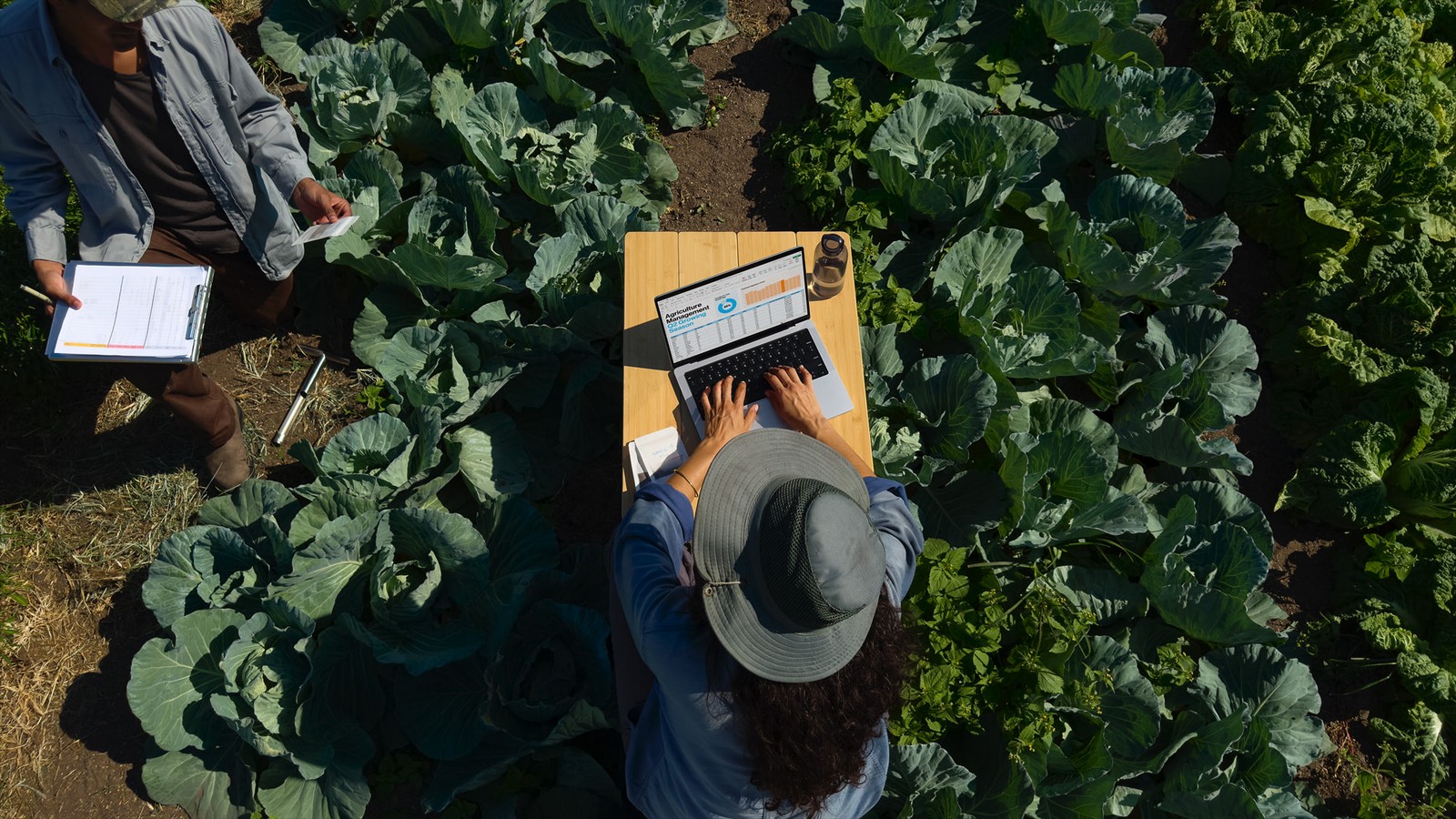 Person working on a MacBook Pro in an outdoor agricultural field, surrounded by leafy greens, while another person stands nearby with a clipboard.