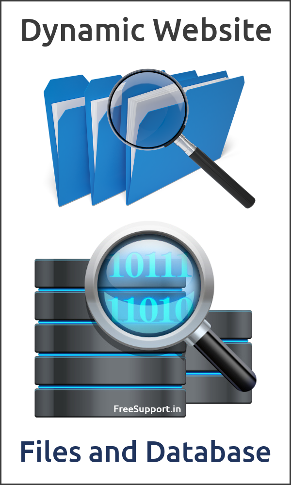 dynamic websites have files and database