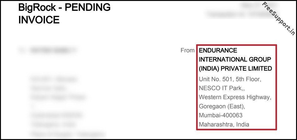 invoice from endurance group
