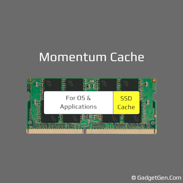 how crucial momentum cache works