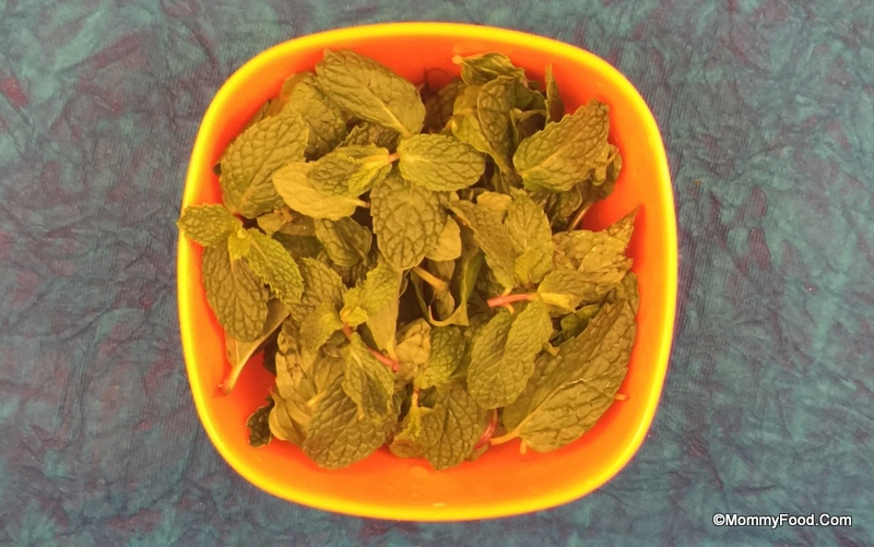Fresh Mint Leaves