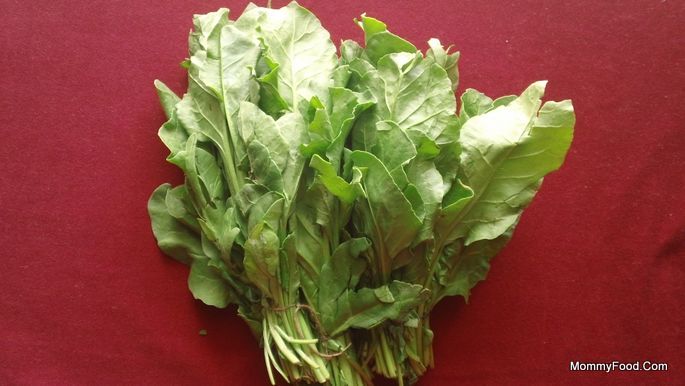 Fresh spinach leaves