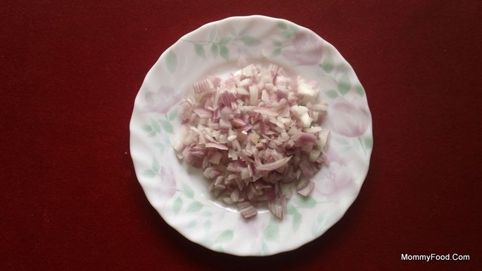 16 010 Sliced Onions 