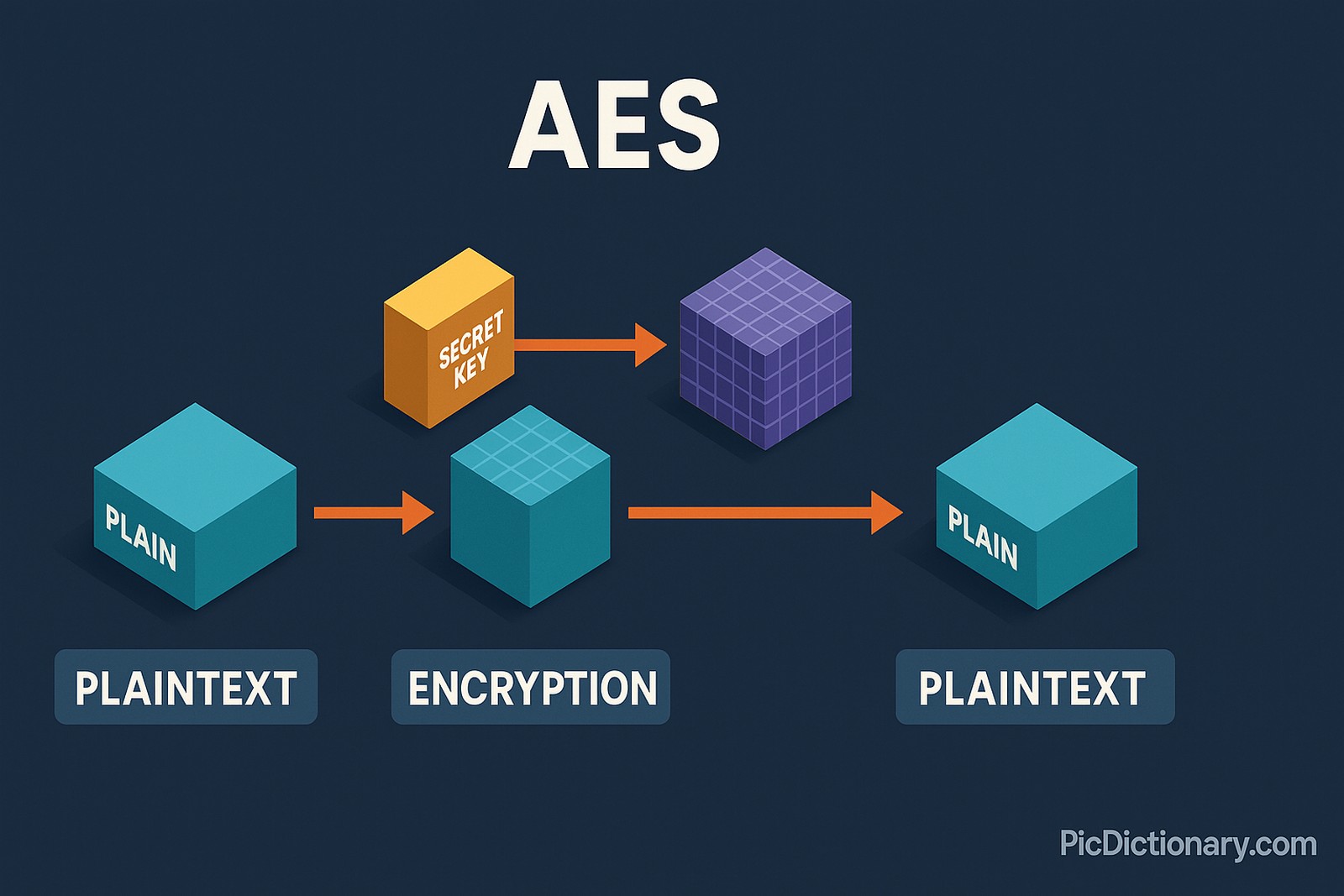 A 3D infographic illustration showing the AES encryption process. On a dark blue background, a block labeled "Plain" (representing plaintext) moves through an "Encryption" phase using a "Secret Key," becoming a purple encrypted block. The process then reverses, converting the encrypted block back into "Plain" (plaintext). Each stage—Plaintext, Encryption, Secret Key, Ciphertext, and Decryption—is clearly labeled. 
