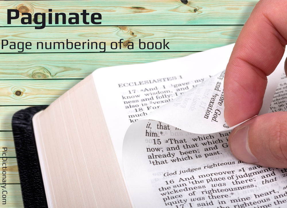 Dictionary meaning of Paginate