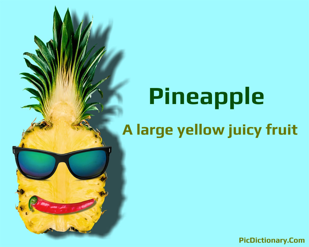 Dictionary meaning of pineapple