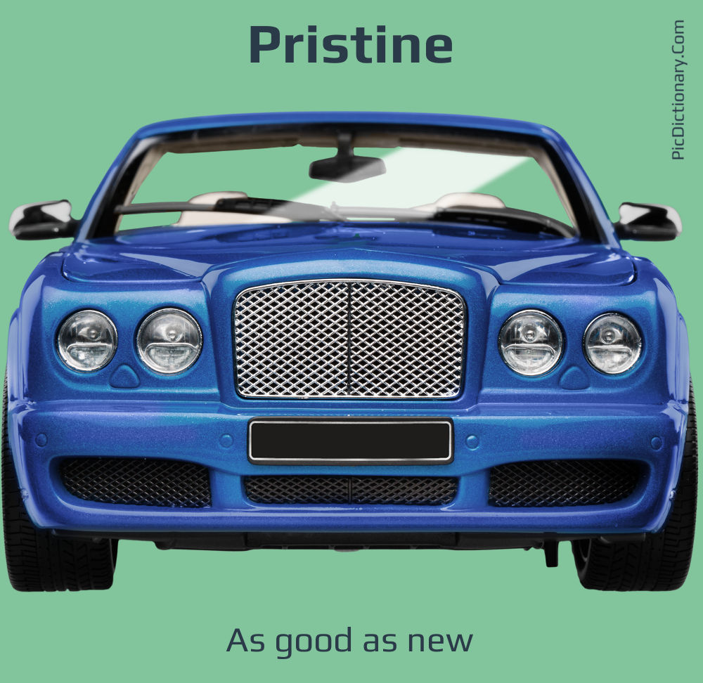 Dictionary meaning of Pristine