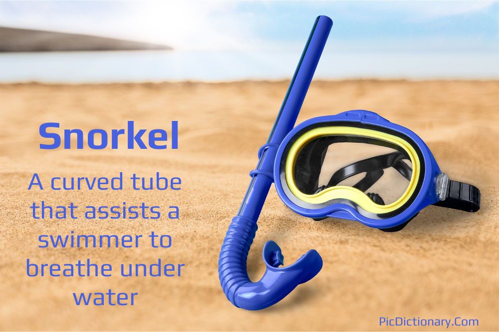 Dictionary meaning of Snorkel