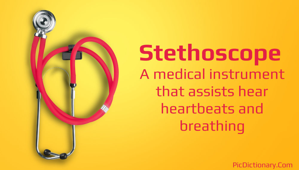Dictionary meaning of Stethoscope