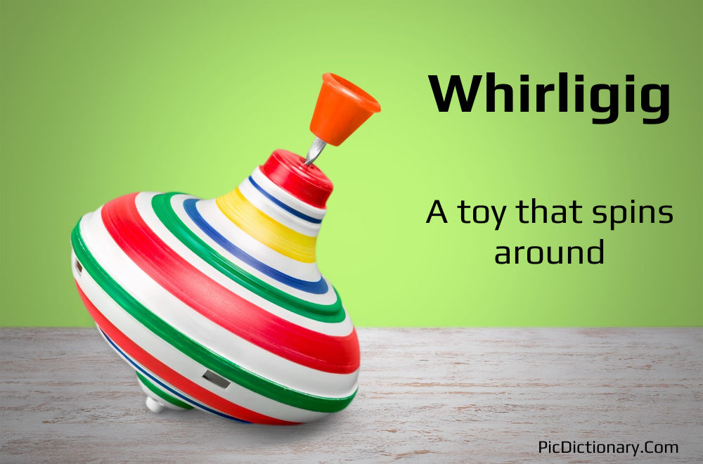 Dictionary meaning of Whirligig