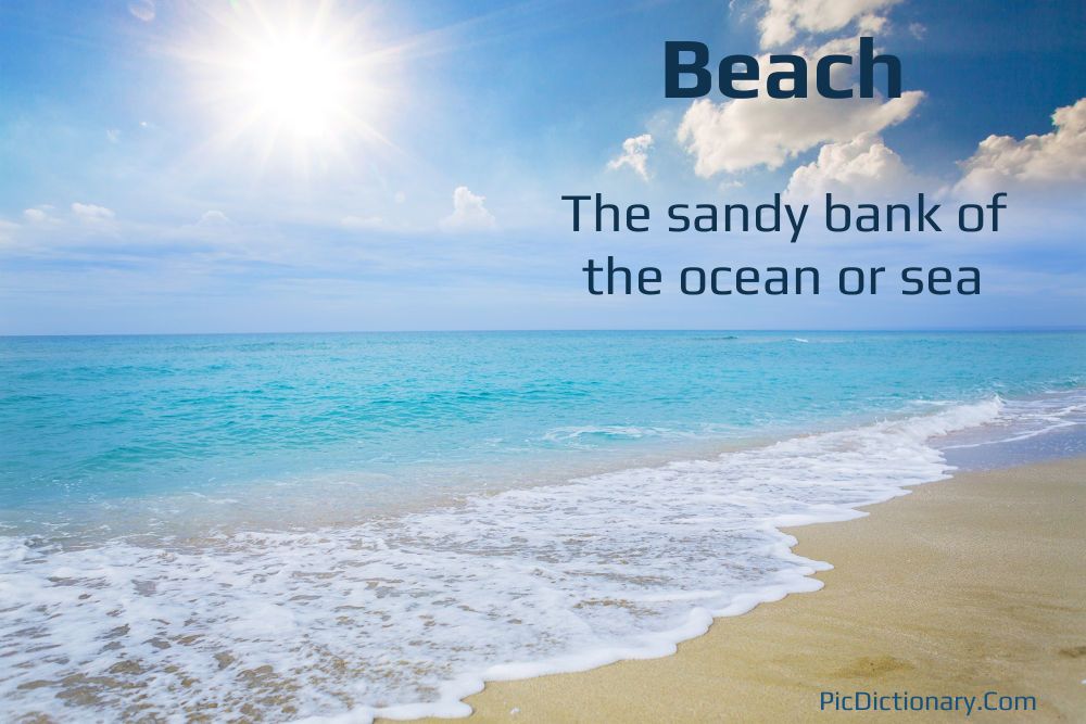 Dictionary meaning of Beach