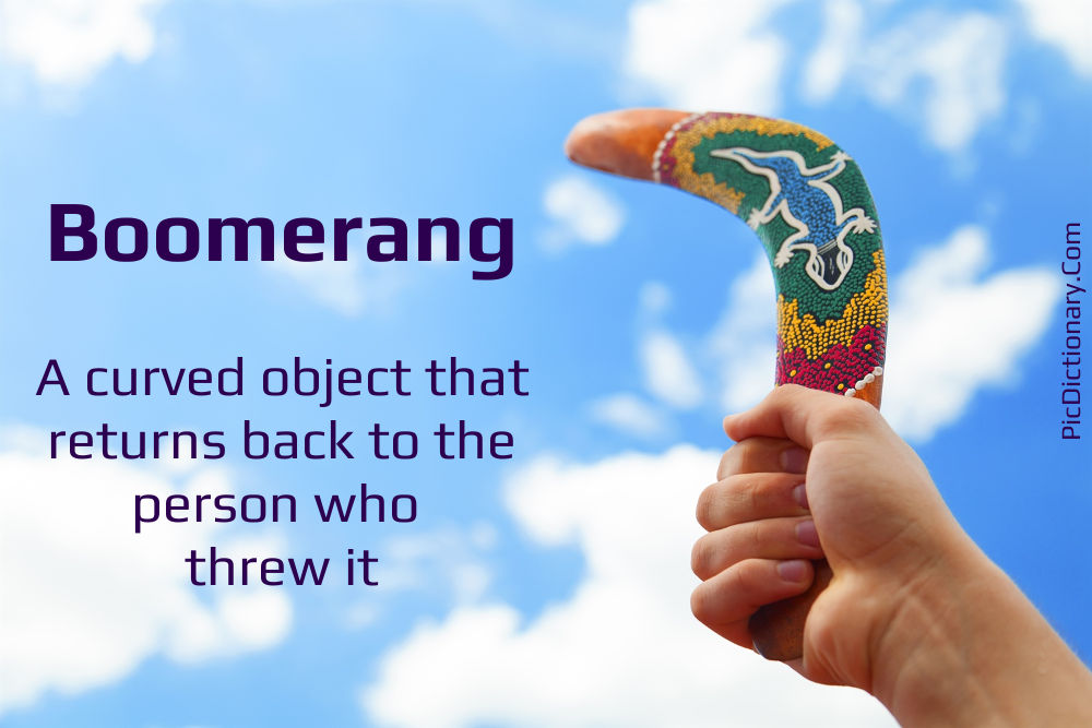 Dictionary meaning of Boomerang