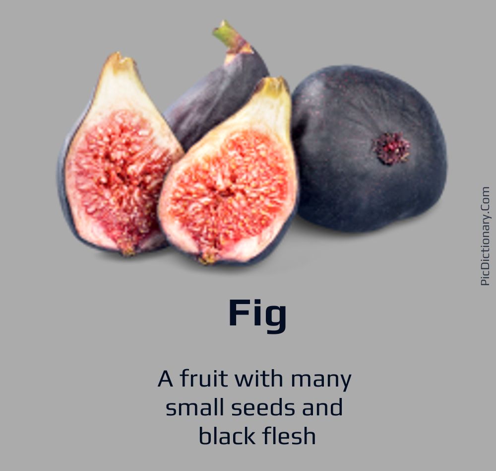 Dictionary meaning of Fig