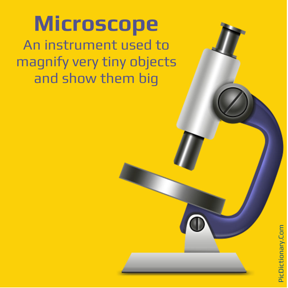 Dictionary meaning of Microscope