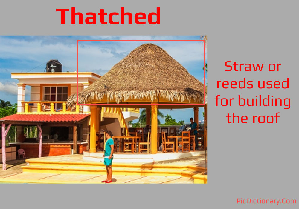 Dictionary meaning of Thatched